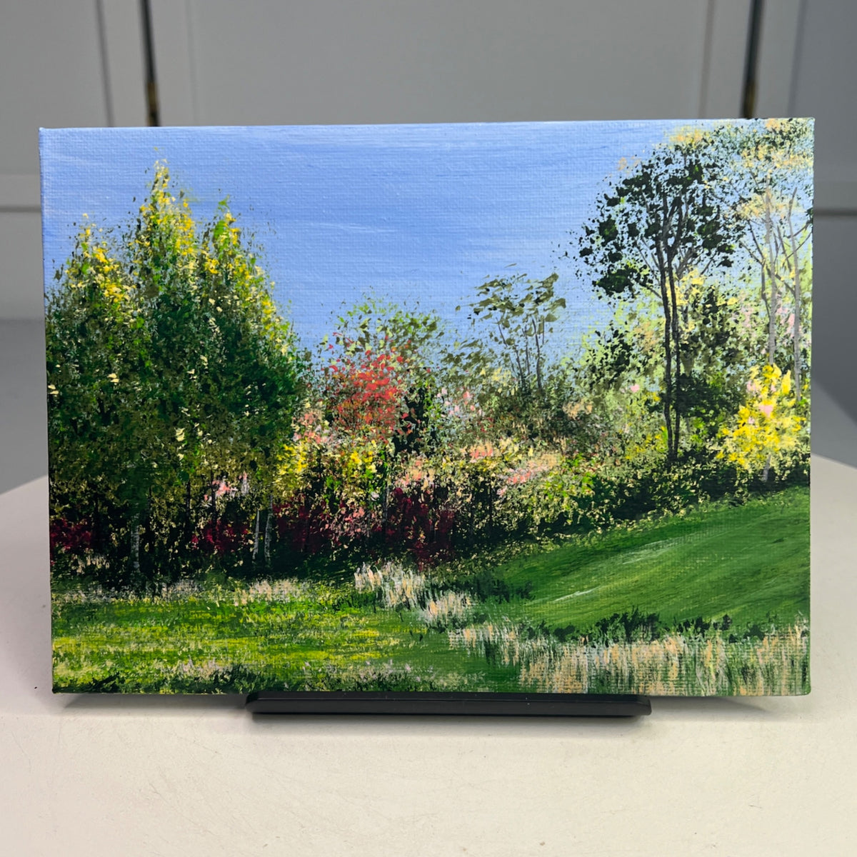 A Beautiful View Acrylic Landscape Painting 6" x 8" Original Wall Art - Unframed