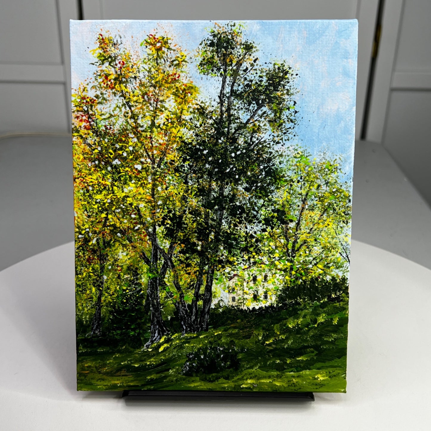 Morning Glory Acrylic Painting Original Art On Canvas 6x8 Inches