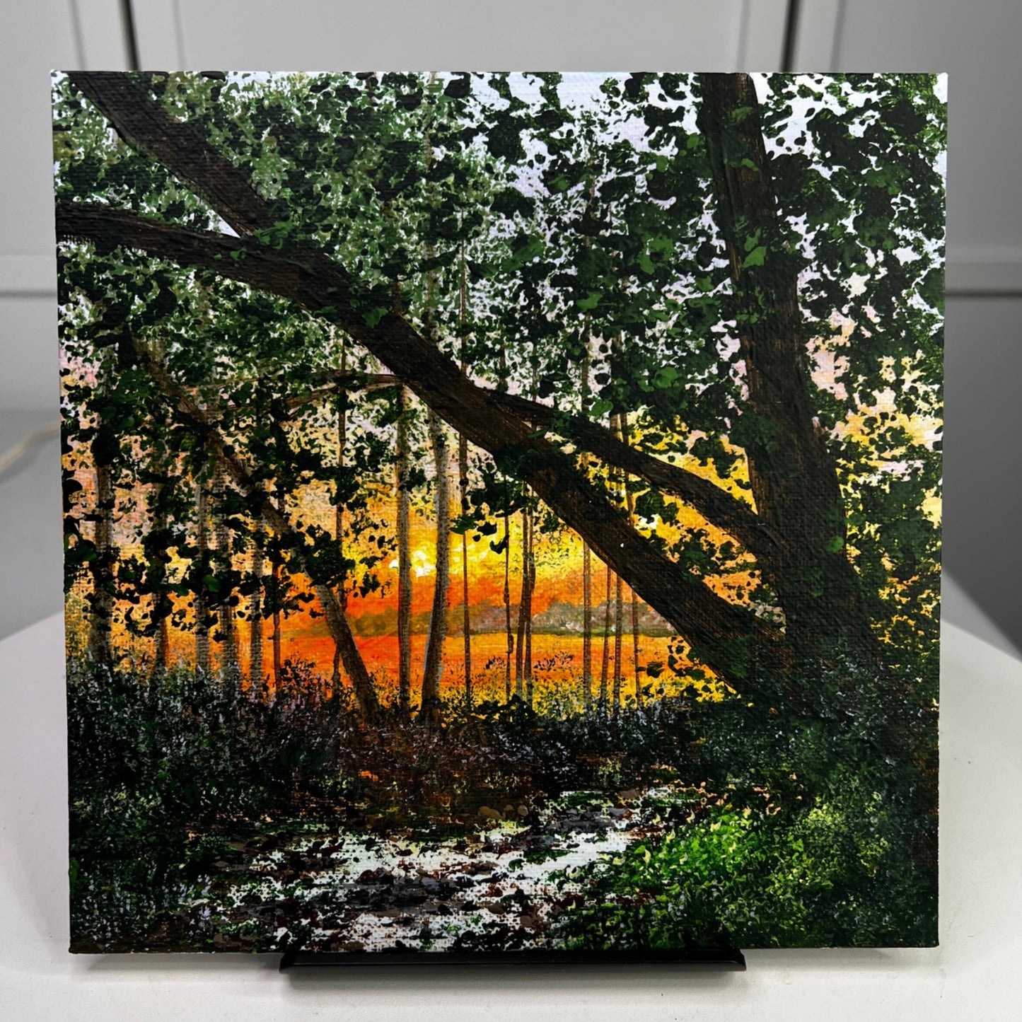 Sunset Through The Trees Hand-Painted Acrylic Artwork Unframed 8 x 8 Inches