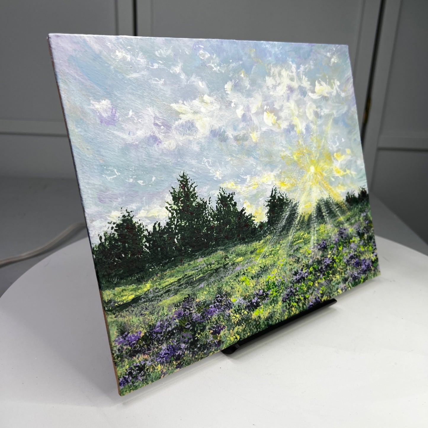 Field Of Light 8" x 10" Original Acrylic Landscape Painting Unframed Artwork